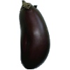 Eggplant (Brinjal)
