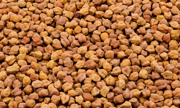 Gram Seeds (Chana)