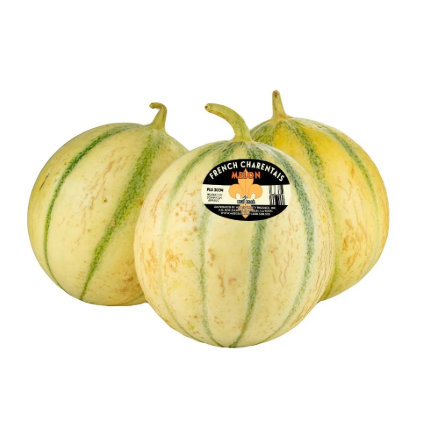 Cantaloupe (Kharbooza)