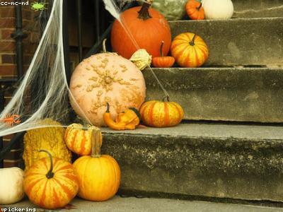 Pumpkin