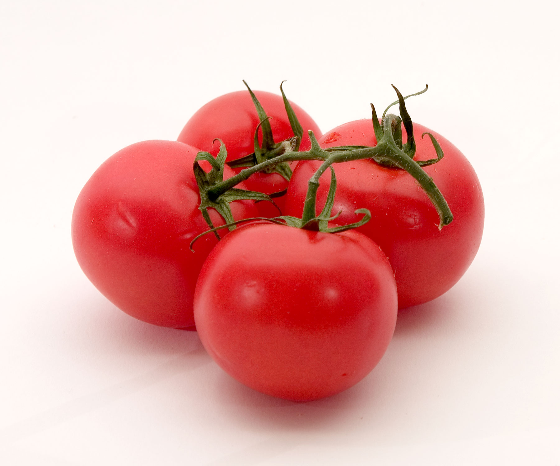 Red Tomato